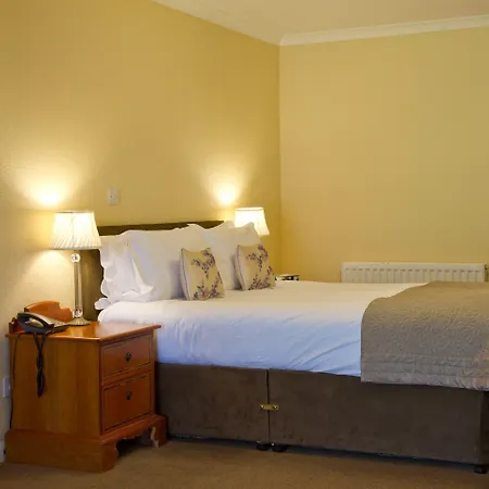 博罗门大酒店 酒店